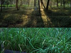 -上海美帆帆船露营基地