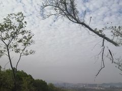-南京市江宁方山