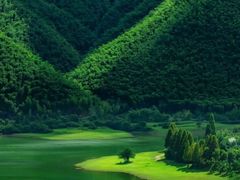 -中华恐龙园