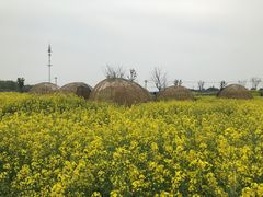 -祝甸砖窑文化馆