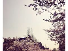-鸡鸣寺