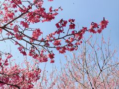 -福清灵石山国家森林公园