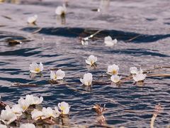 -丽江泸沽湖景区
