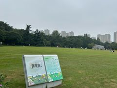 -青枫公园
