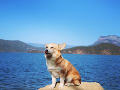 -丽江泸沽湖景区