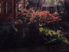 -龙潭水乡