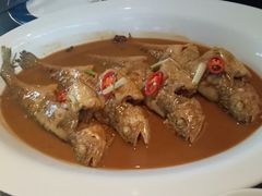 -凤凰湘语·湘粤鲜融(浦东旗舰店)