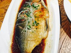 -阿罗新疆菜(人民广场店)