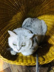 -青木造型HAIR·あおき髪を刈る潮人店