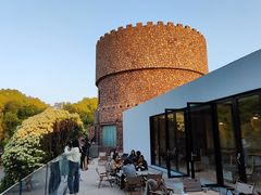 景观位-J Create城市露营咖啡·简餐·宠物(上海动物园店)