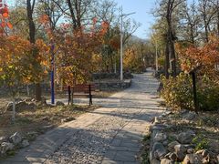 -阳台山自然风景区