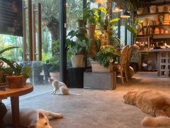 -自由生长植物工作室(深港花卉中心店)
