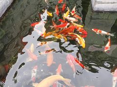 -长春观