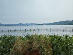 -湖畔居茶楼(湖滨店)