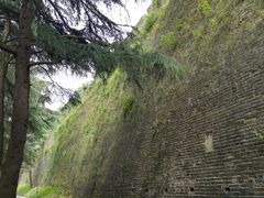 -紫金山天文台