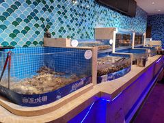 -乔哥铭洋海鲜自助(皇城恒隆广场店)