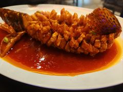 -院8里·小聚园老川菜(九眼桥店)