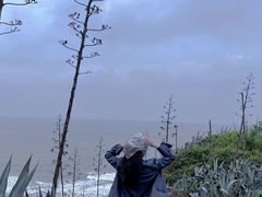 -漳州滨海火山岛自然生态风景区