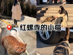 -红螺寺