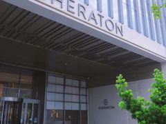 -广州奥园喜来登酒店