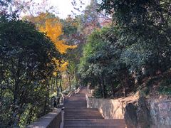 -狼山风景名胜区