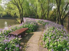 -浙江大学（紫金港校区）动物科学学院