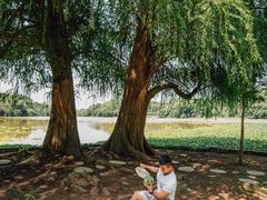 -南宁良凤江国家森林公园