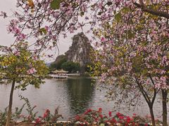 -星湖旅游景区七星岩