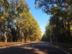 -田心森林公园