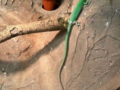 -上海大自然野生昆虫馆