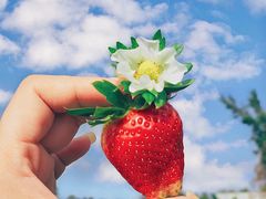 -小塘渔村(开平大道店)