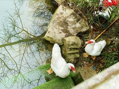 -南京东郊国宾馆