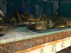 水产区-小平岛開海水饺(浑南店)