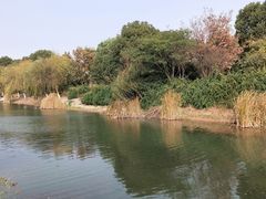 -张家港凤凰山景区河阳山歌馆