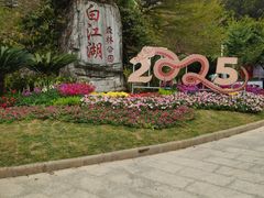 -广州白江湖森林公园