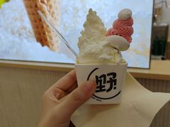 -野人先生现做冰淇淋(西安赛格店)