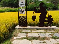 -北坞公园