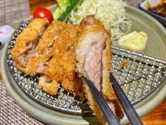 喜豚招牌猪排-KITON喜豚(清晖园店)