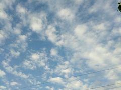 -霸王虾·麻辣小龙虾(清水河公园店)