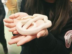 -藦茜花园宠物主题亲子互动体验馆(国顺东路店)
