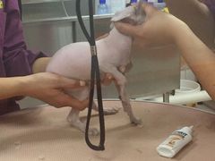 -惠康宠物医院(华能路店)