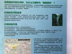 -芒洲湿地公园