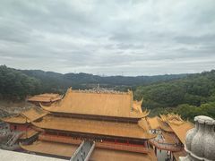 -东莞市大岭山森林公园