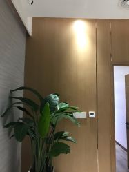 -苑苑vbeauty科技美容SPA