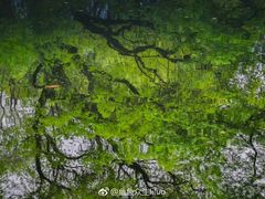 -无锡梅园公园