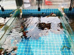 -渡海小渔村.老辈日照菜