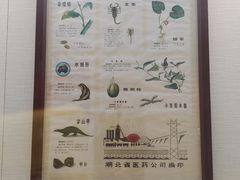 -广东中医药博物馆