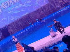 -华夏文旅海洋公园