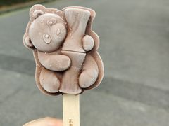 -成都大熊猫繁育研究基地