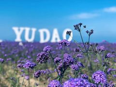 -渔岛海洋度假区